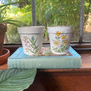 May include: Two small, off-white ceramic flower pots with speckled textures. The left pot features a pink and green floral illustration, while the right pot displays a cluster of yellow and orange wildflowers. Both pots have a simple, tapered shape.