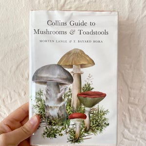 以下が含まれることがあります： Morten LangeとF. Bayard Horaによる「Collins Guide to Mushrooms & Toadstools」というタイトルのハードカバー本。白い表紙には、茶色、灰色、赤色の4種類のキノコの精巧なイラストが描かれており、周囲には緑色の苔が添えられています。