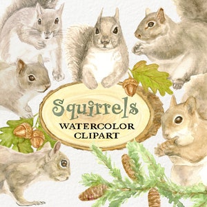 Écureuils Aquarelle Clipart Peint à la main Numérique Télécharger PNG