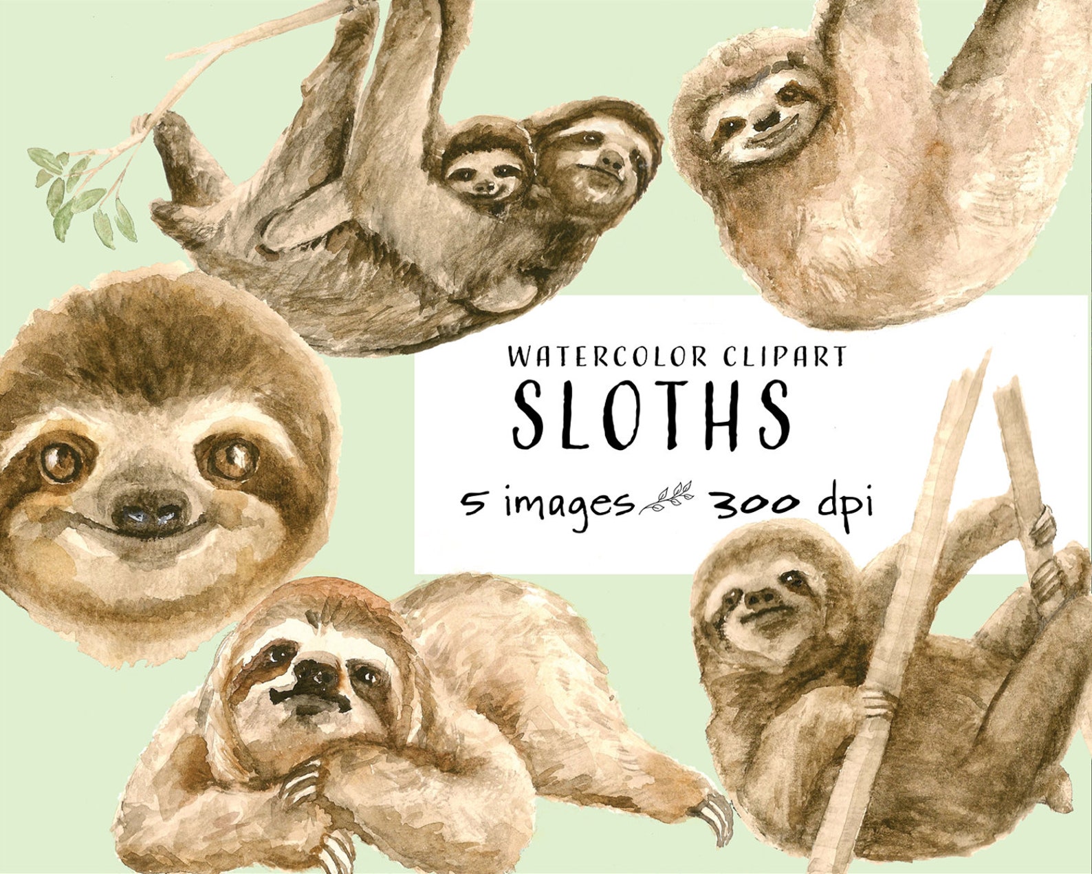 Sloths Watercolor Clipart Digital Download PNG - Etsy