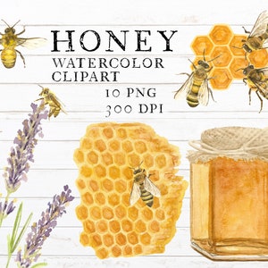 Honey Watercolor Clipart Hand-Painted Digital Download PNG