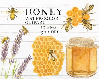 Honey Watercolor Clipart Hand-Painted Digital Download PNG