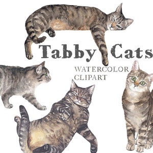 Tabby Cats Watercolor Clipart Digital Download