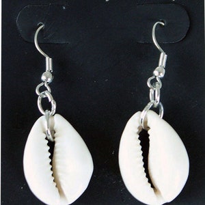 May include: A pair of white shell earrings with silver hooks. The shells are smooth and have a natural shape.