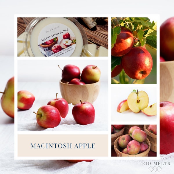 Macintosh Apple | Wax Melts | Crisp Apple Scent | Trio Melts