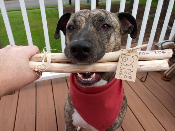 fetch sticks for dogs