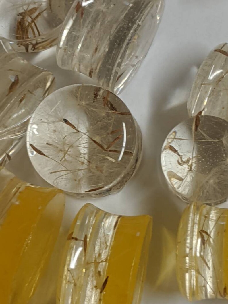 Real dried Dandilion Wildflower ear plugsGauges or dangling teardrop earrings.