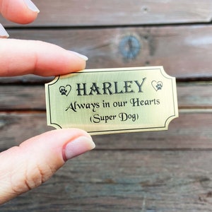 Może przedstawiać: Prostokątny, złoty metalowy identyfikator dla zwierząt z zaokrąglonymi rogami. Na identyfikatorze wygrawerowano imię "HARLEY", frazę "Always in our Hearts (Super Dog)" oraz symbole łapy i serca.