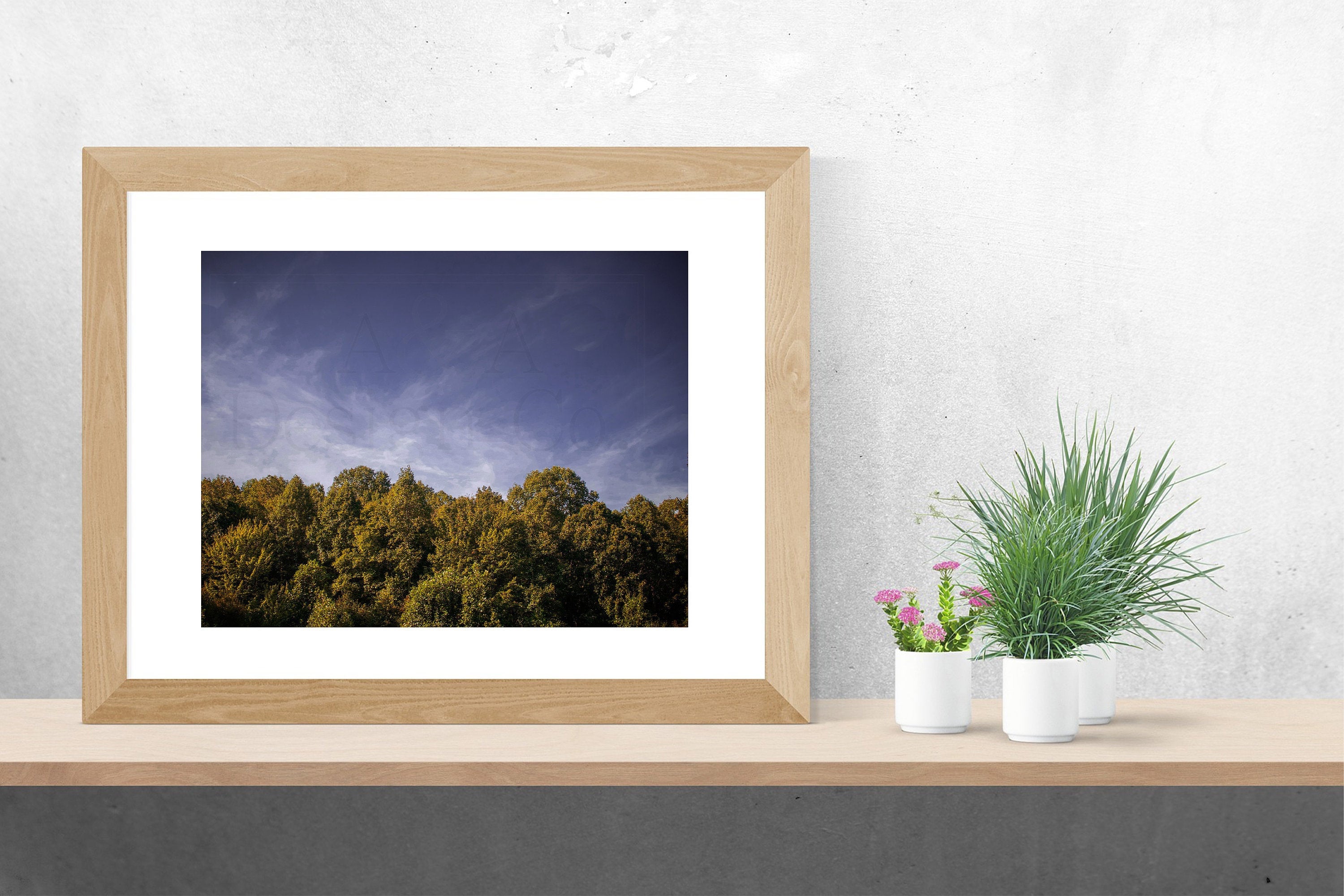 Nature wall art Nature photography Digital Print Wall Decor Etsy
