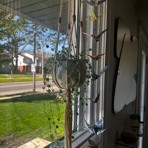 Op de afbeelding: Een hangende plantenpot met een macramé hanger, gevuld met groen en trapsgewijze kralenstrengen. Origami vogels in verschillende kleuren hangen in de buurt van het raam, wat een decoratieve weergave creëert. De pot is zilverkleurig.