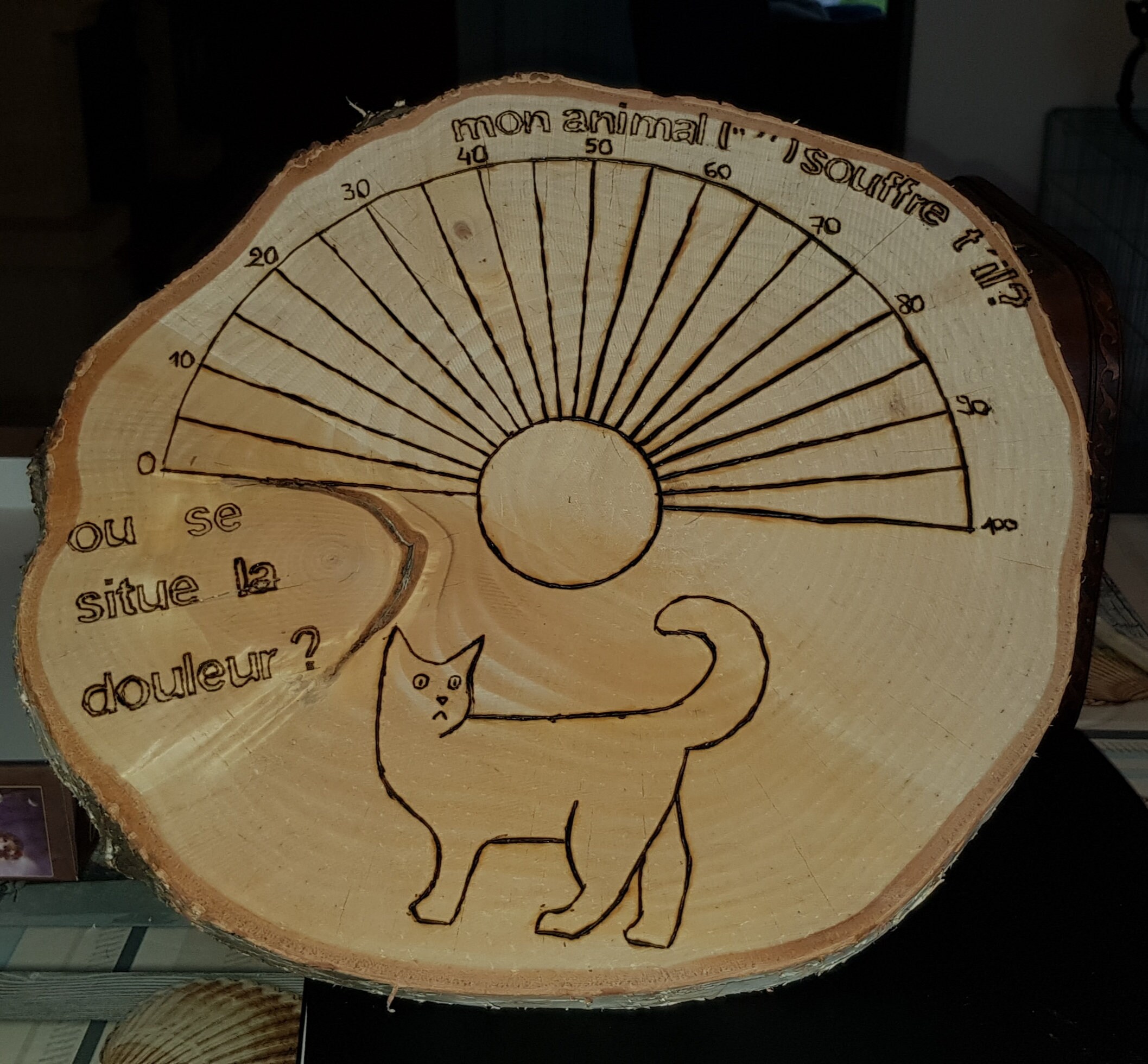 Planche Pendule Pour Chat