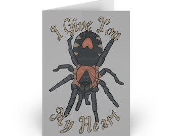 Cyriocosmus Elegans Tarantula Valentines or Significant Other Greeting Card