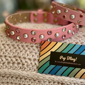 Newtensina Hundehalsband Mit Diamanten & Leine - Bling Design Für Hunde Und Katzen
