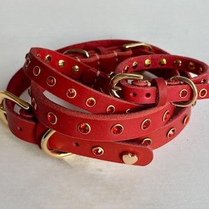 Rotes Leder Strass Hundehalsband und Leine: Gold Hardwares, Herz Detail