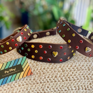 Rainbow Rhinestone Leather Martingale Dog Collar: Limited Slip Design