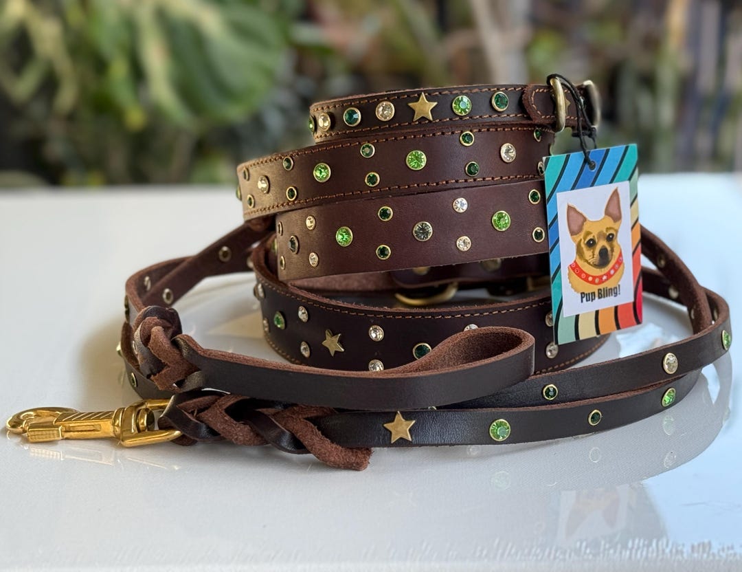 Rhinestone Dog Collar Leash Set: Brown Leather, Gold Hardware  Israel