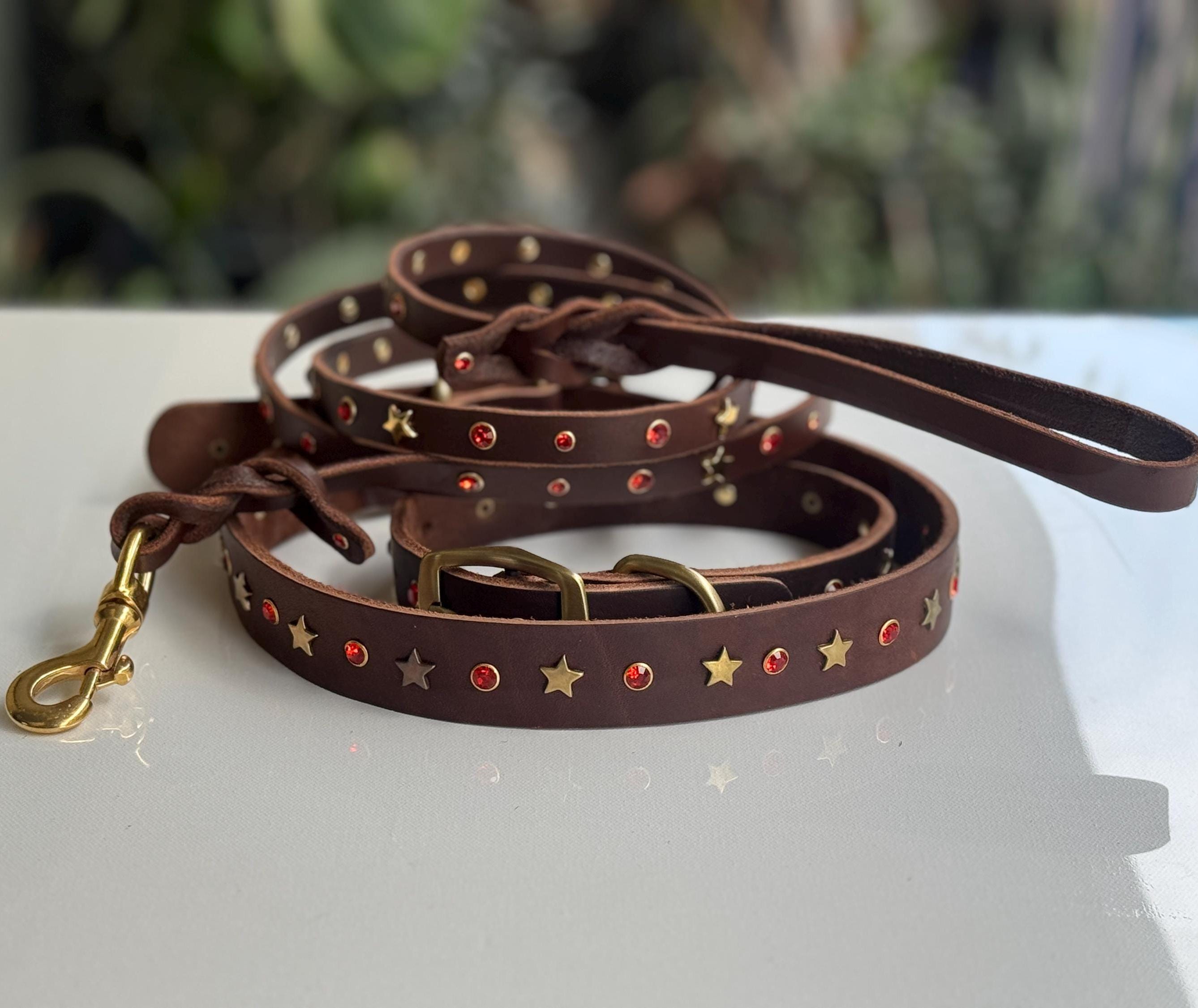 レザー製犬用首輪とリードセット：ダークブラウンの牛革にゴールドの星