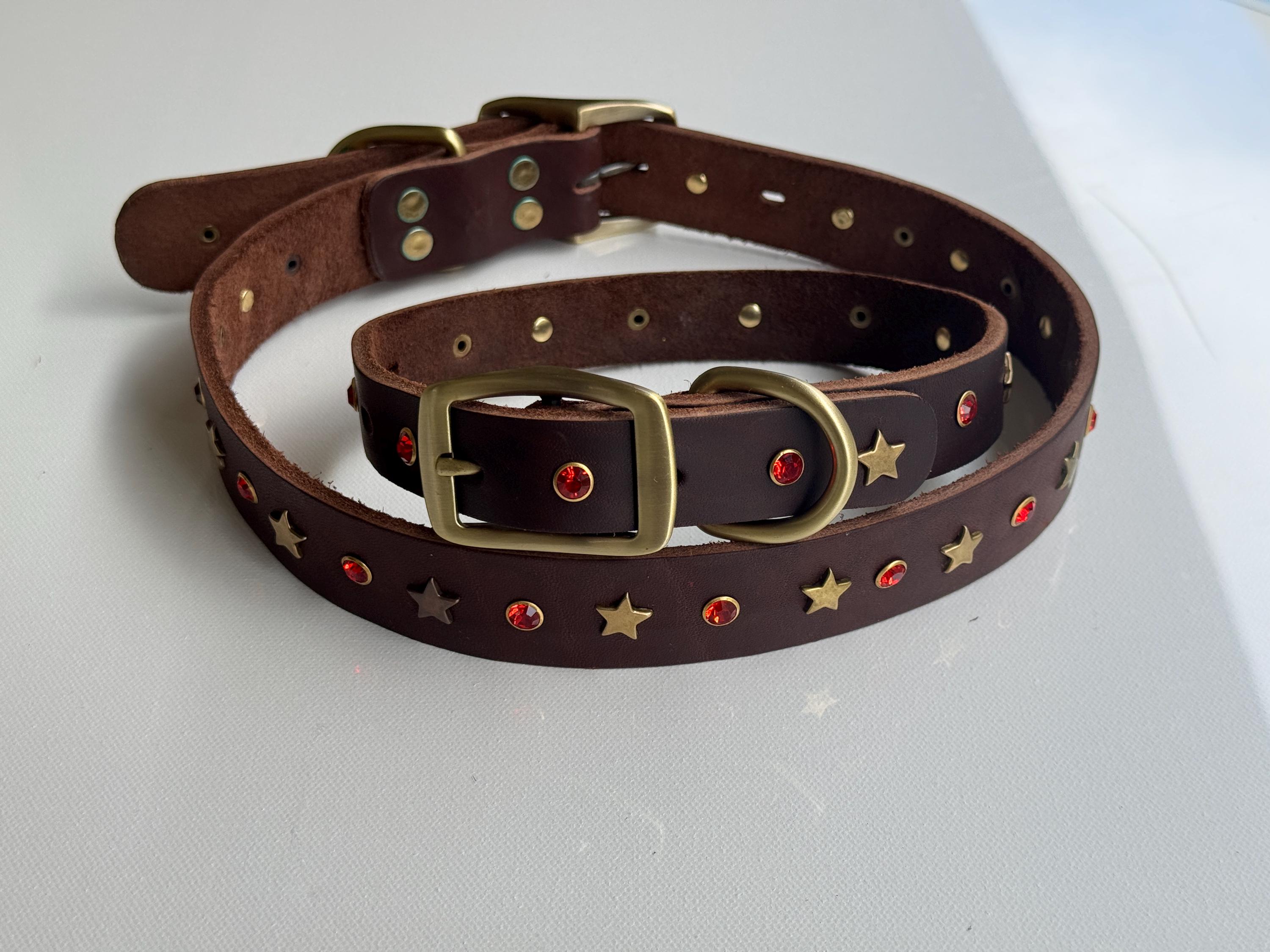 レザー製犬用首輪とリードセット：ダークブラウンの牛革にゴールドの星