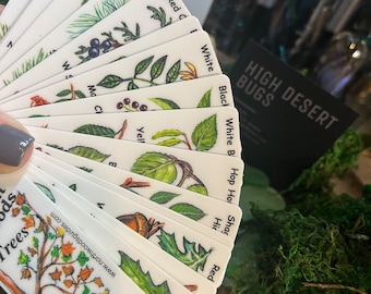May include: A fan of white plant identification cards with botanical illustrations and text. The cards display various plants, including berries, leaves, and trees. The text "HIGH DESERT BUGS" is visible on a black card.