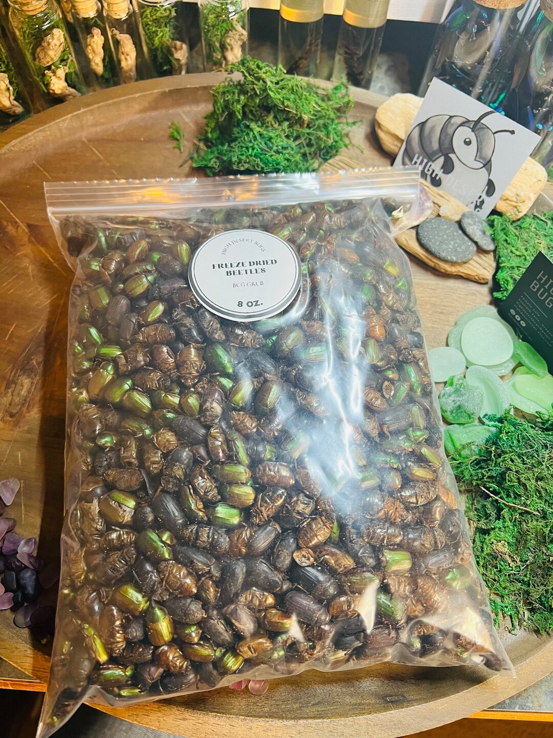 Dried Beetles Insectivore Omnivore Treats for Chickens Ducks Etsy