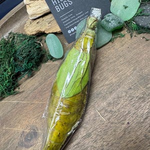 May include: A wrapped, elongated object with green leaves, possibly a dried plant, is displayed on a wooden surface. A business card with the text "HIGH DESERT BUGS" is visible. The scene includes decorative elements like moss and sea glass.