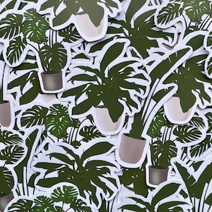 Zimmerpflanze - Sticker 3er Set