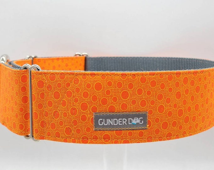 Martingale, Dog Collar, Great Dane, Labrador, Labradoodle, Boxer, Shepherd, Golden Retriever, Goldendoodle, Large Breed ~ Orange Bubbles