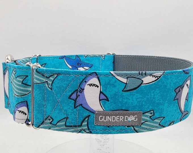 Martingale, Dog Collar, Great Dane, Labrador, Labradoodle, Boxer, German Shepherd, Golden Retriever, Goldendoodle, Large Breed ~ Shark!