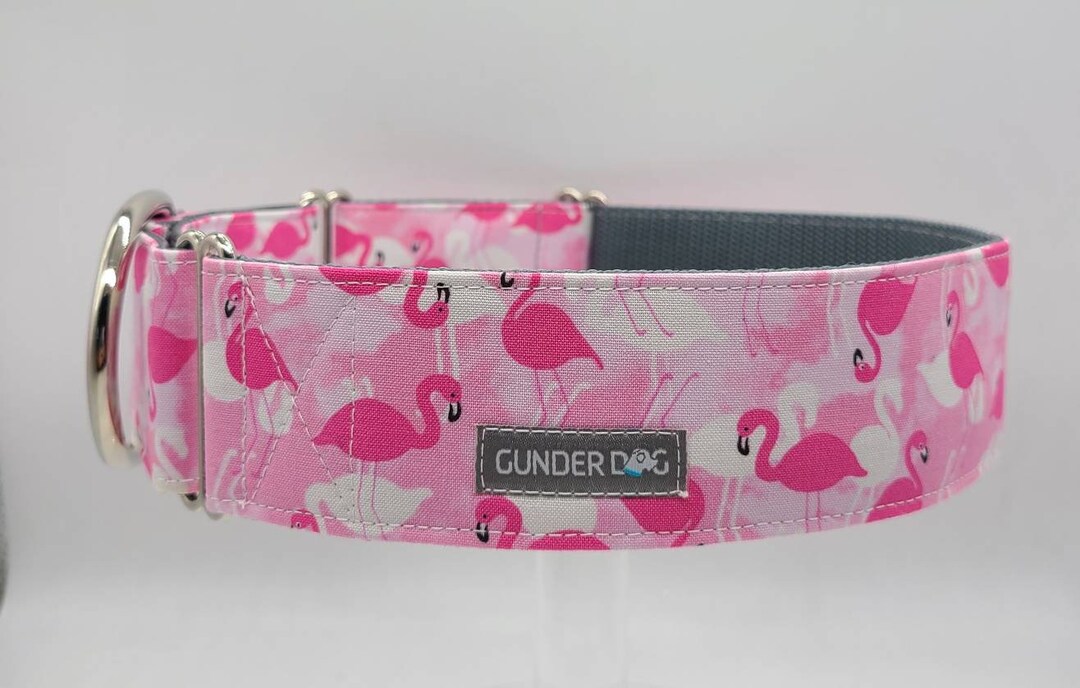 Martingale, Dog Collar, Great Dane, Labrador, Labradoodle, Boxer, Shepherd, Golden Retriever