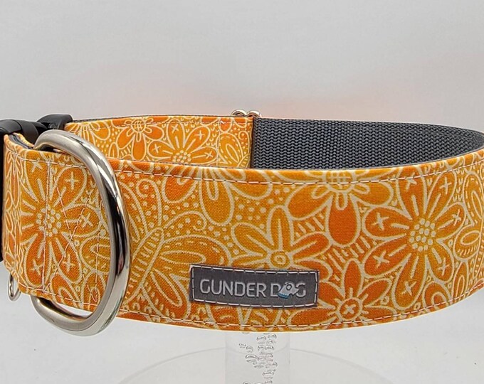 Buckle, Dog Collar, Great Dane, Labrador, Labradoodle, Boxer, German Shepherd, Golden Retriever, Goldendoodle, Large Breed ~ Janie