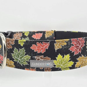 Buckle, Dog Collar, Great Dane, Labrador, Labradoodle, Boxer, Shepherd, Golden Retriever, Goldendoodle, Large Breed ~ Fall Leaves