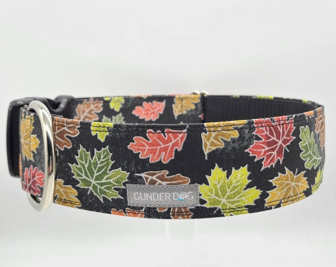 Buckle, Dog Collar, Great Dane, Labrador, Labradoodle, Boxer, German Shepherd, Golden Retriever, Goldendoodle, Large Breed ~ Fall Leaves