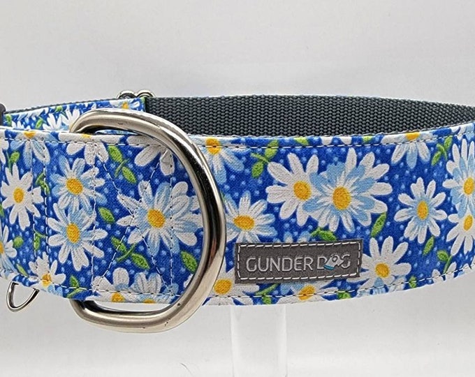 Martingale, Dog Collar, Great Dane, Labrador, Labradoodle, Boxer, Shepherd, Golden Retriever, Goldendoodle, Large Breed ~ Daisy/Blue