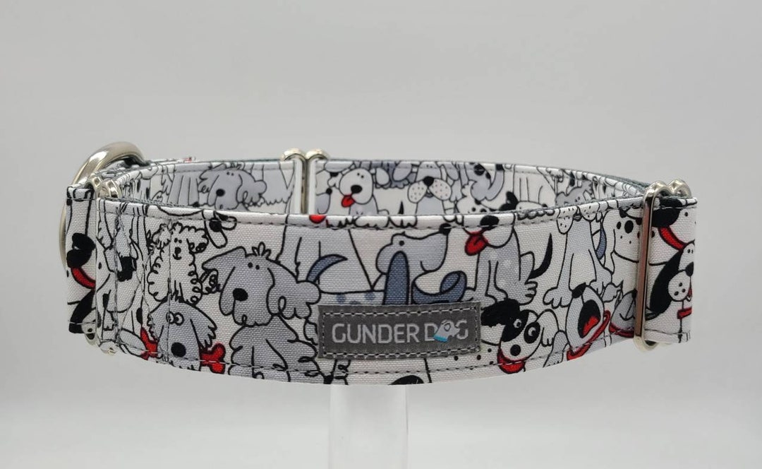 Martingale, Dog Collar, Great Dane, Labrador, Labradoodle, Boxer