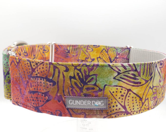 Martingale, Dog Collar, Great Dane, Labrador, Labradoodle, Boxer, German Shepherd, Golden Retriever, Goldendoodle, Large Breed ~ Sherbert