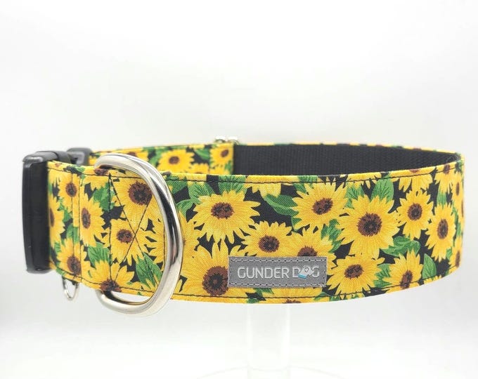 Buckle, Dog Collar, Great Dane, Labrador, Labradoodle, Boxer, German Shepherd, Golden Retriever, Goldendoodle, Large Breed ~ Sunflowers