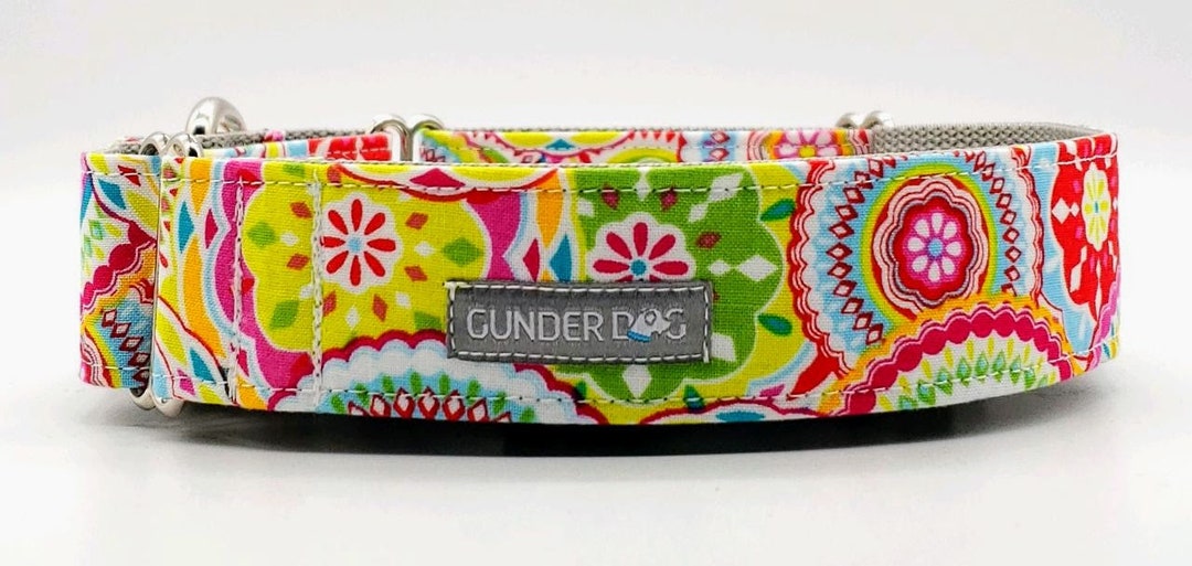 Martingale, Dog Collar, Great Dane, Labrador, Labradoodle, Boxer, German Shepherd, Golden