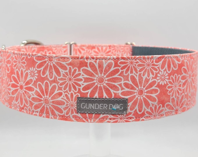 Buckle, Dog Collar, Great Dane, Labrador, Labradoodle, Boxer, Shepherd, Golden Retriever, Goldendoodle, Large Breed ~ Coral Daisy