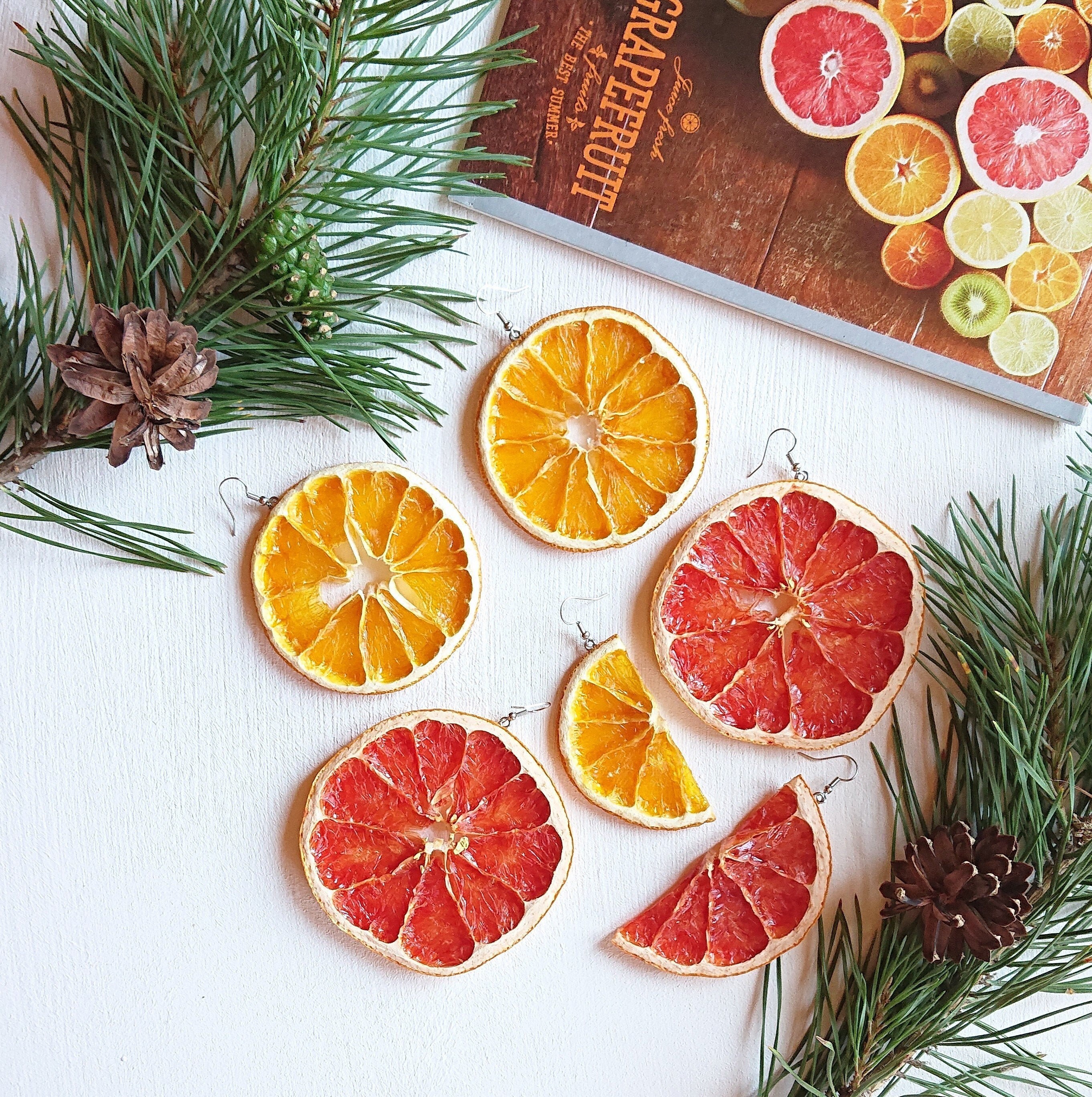 Fruit earrings Dried citrus earrings Quirky earrings Real fruit earri…