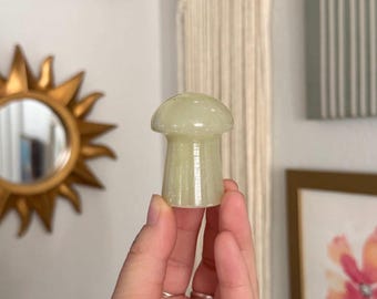Onyx Mushrooms | Crystal Mushrooms
