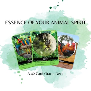 Spirit Animal Oracle Deck - Spirit Animal - Animal Spirit Tarot Deck - Animal Spirit Oracle Deck - Divination Duchess - Printable Card Deck