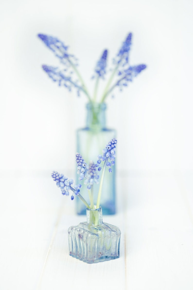 Blue Tones Flower Wall Hangings colourful Flower Photography Flower Photo Print. Fine Art Flower Print Unframed Flower Photography