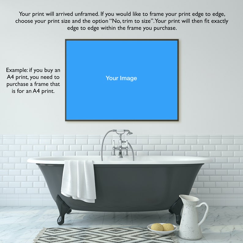 Shell Art Original Bathroom Wall Art Bathroom Picture Etsy Australia