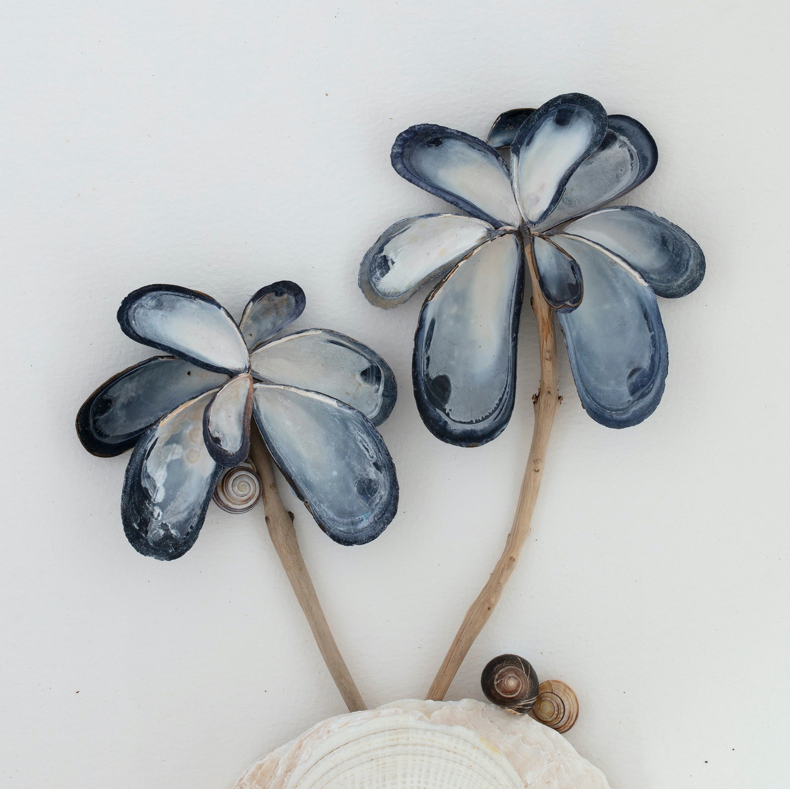 Shell Art Original Bathroom Wall Art Bathroom Picture Etsy UK