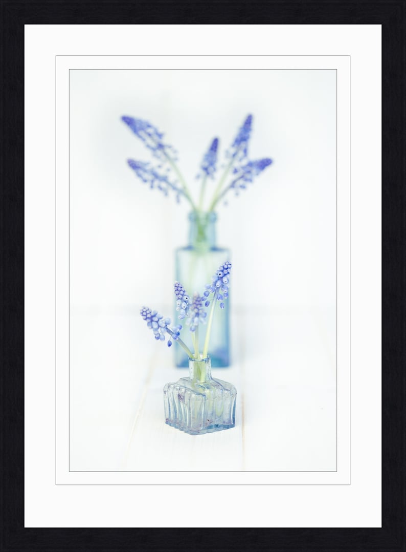 Blue Tones Flower Wall Hangings colourful Flower Photography Flower Photo Print. Fine Art Flower Print Unframed Flower Photography