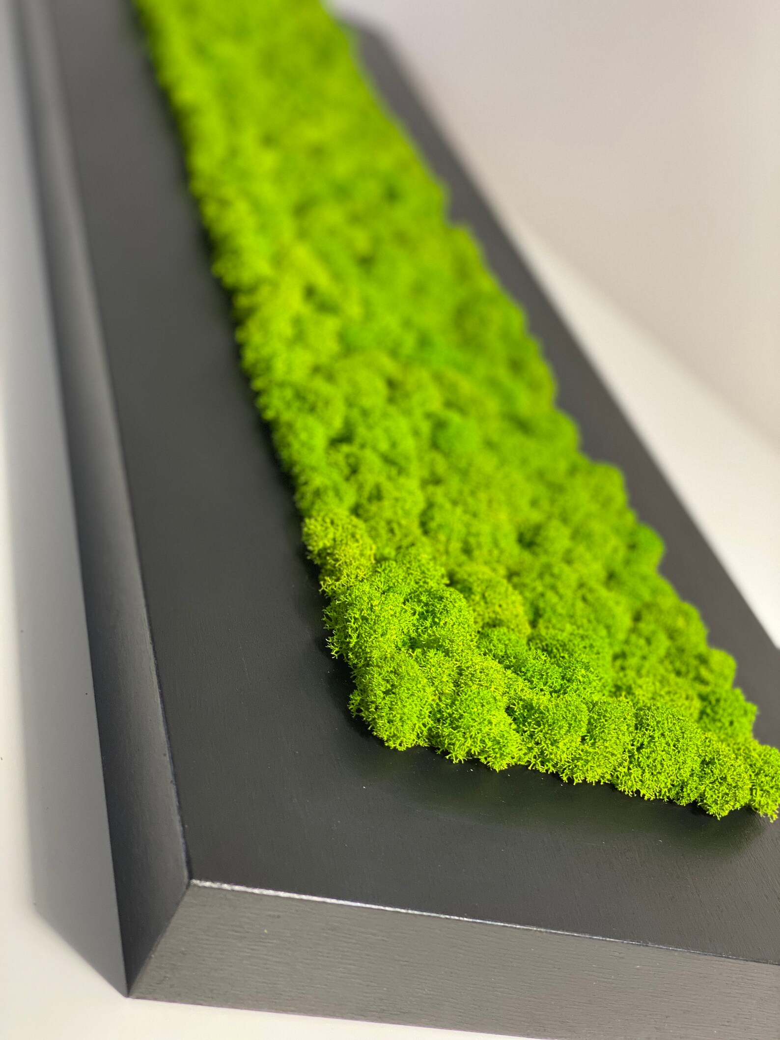 Moos-Wand Grüne Wandkunst Konserviertes Moos | Etsy