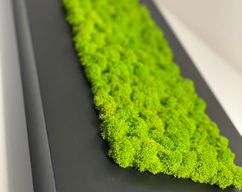 Moss Wall | Green wall art | Preserved moss | Walnut art | Plant wall decor | Plant wall art | Moss wall art with solid wood frame