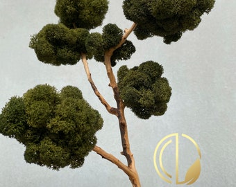 Bonsai  Tree |Moss Wall | Green Gift | Preserved moss  | Plant decor | Plant wall art | Moss Tree