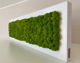 Moss Wall | Green wall art | Preserved moss | Walnut art | Plant wall decor | Plant wall art | Moss wall art with solid wood frame