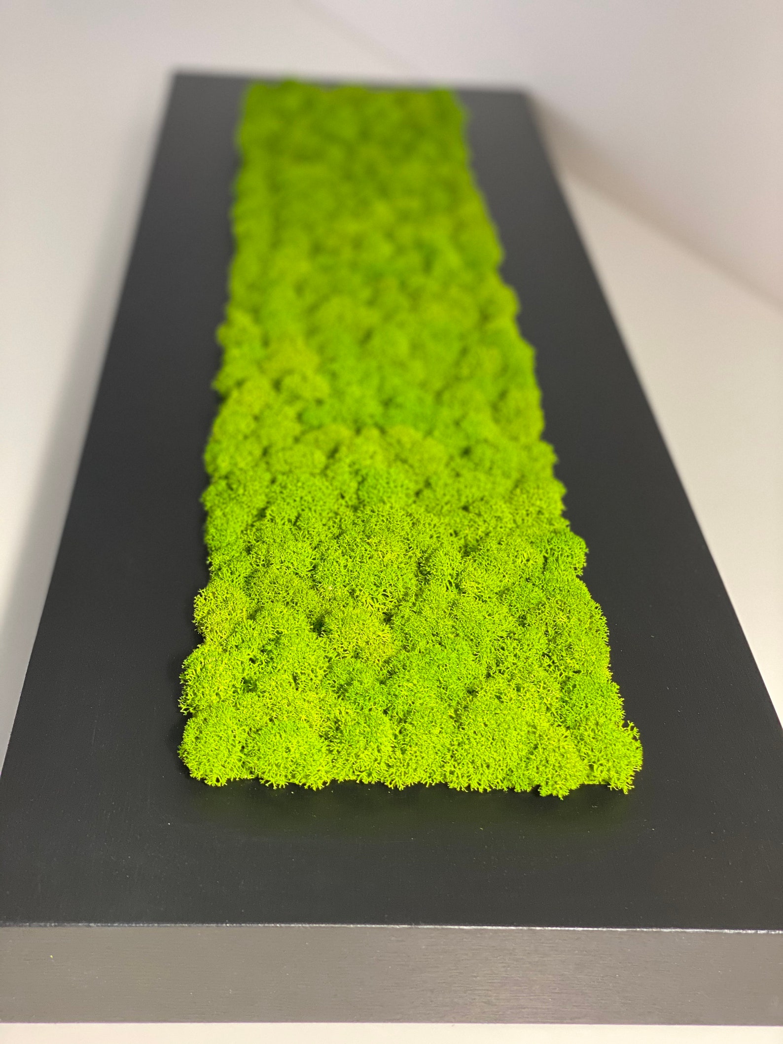 Gadpiparty 50 G De Mousse Préservée Blanche Beau Matériau Floral